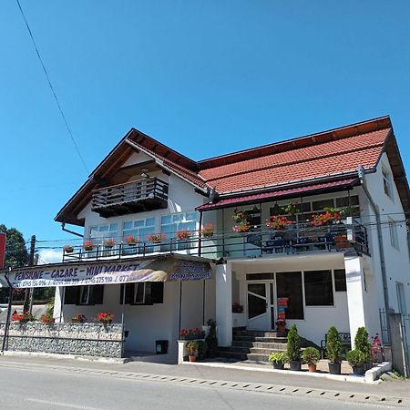 Pensiunea Rominvest Borşa 외부 사진