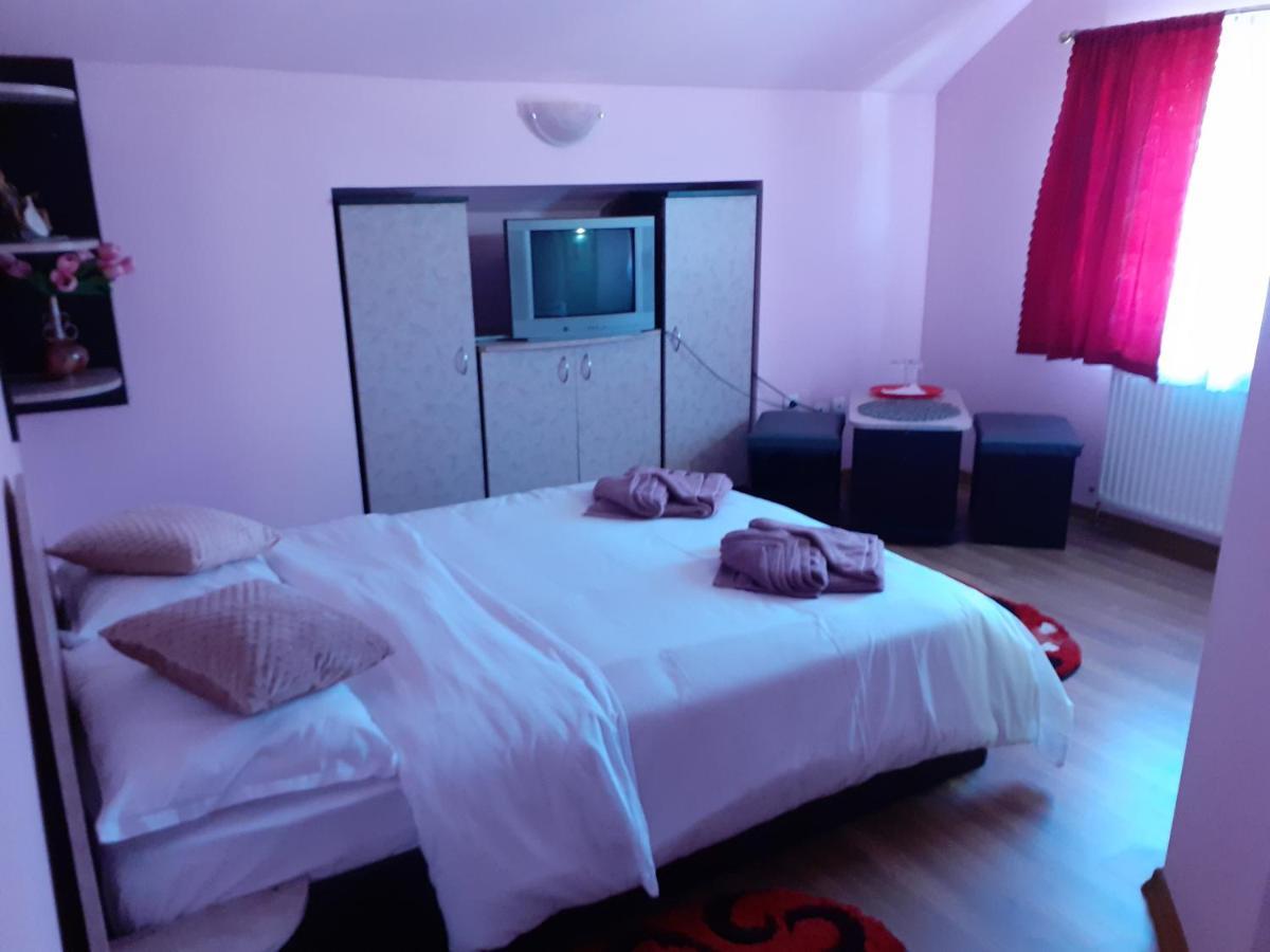 Pensiunea Rominvest Borşa 외부 사진