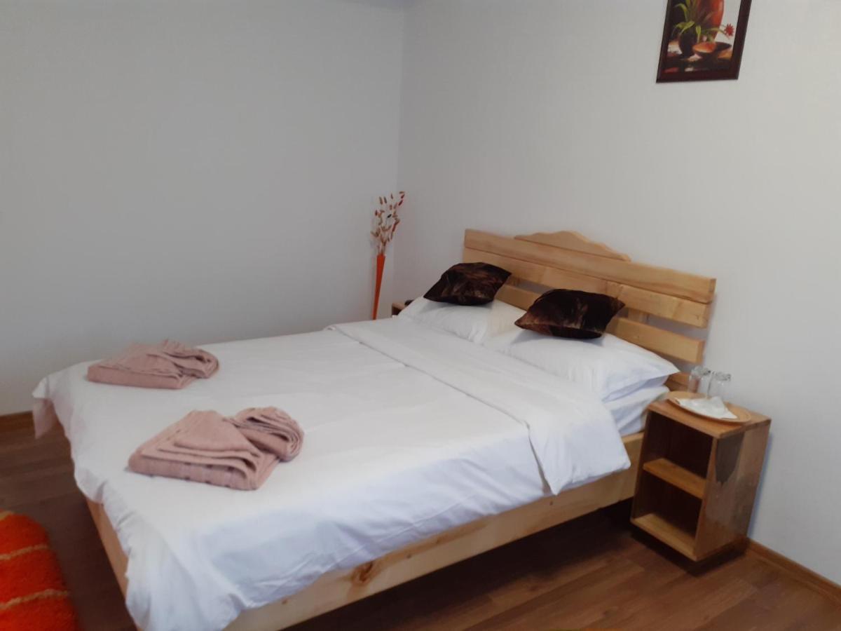 Pensiunea Rominvest Borşa 외부 사진
