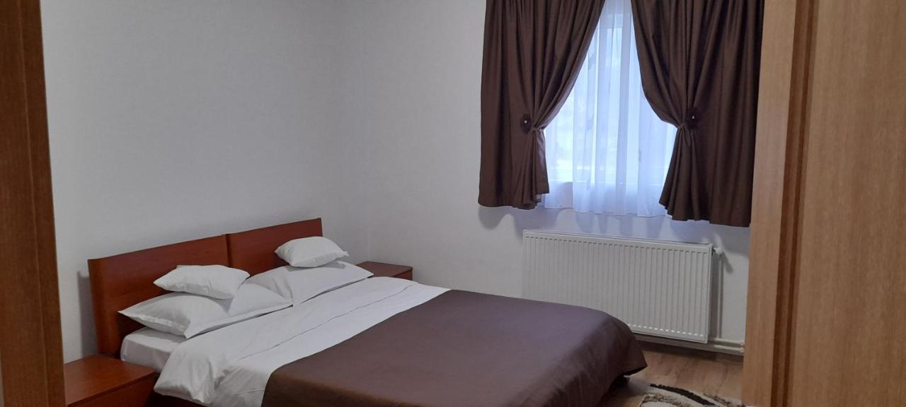 Pensiunea Rominvest Borşa 외부 사진